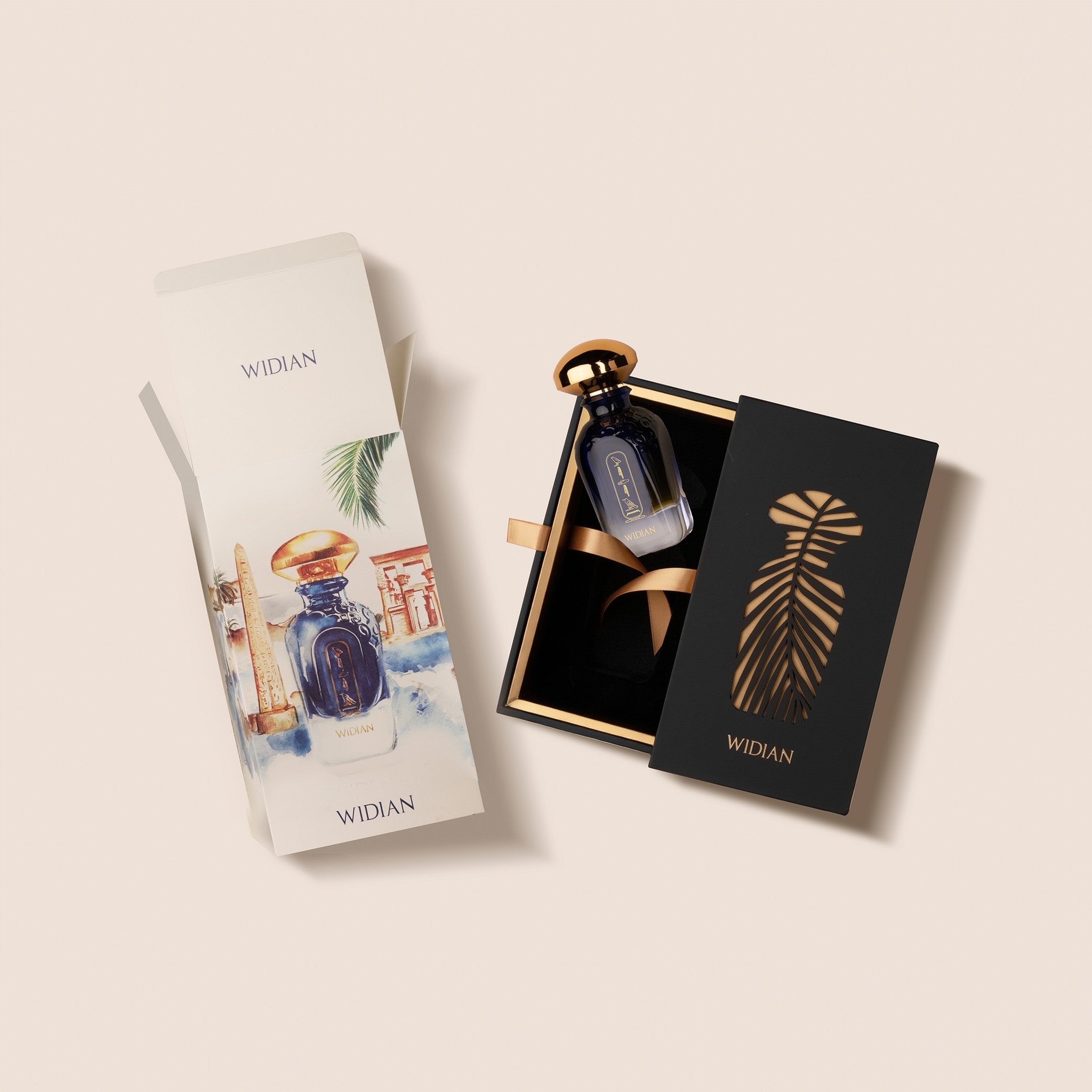 Widian Aswan, Box